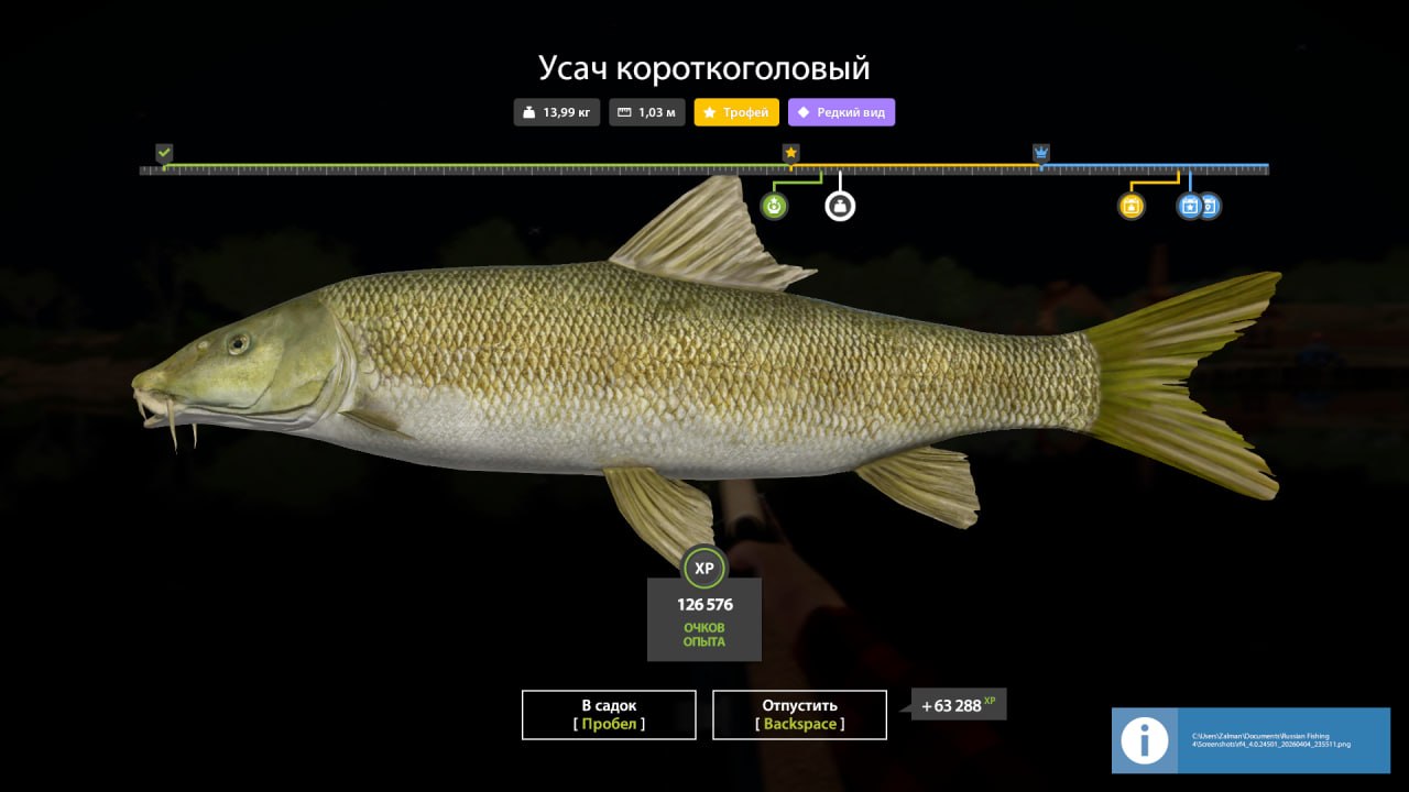 Trophy — Akhtuba River
