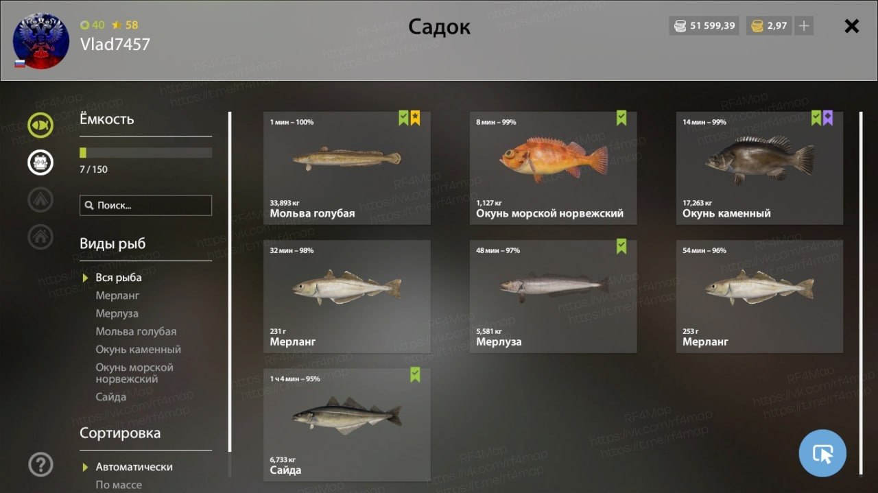 Норвежское море