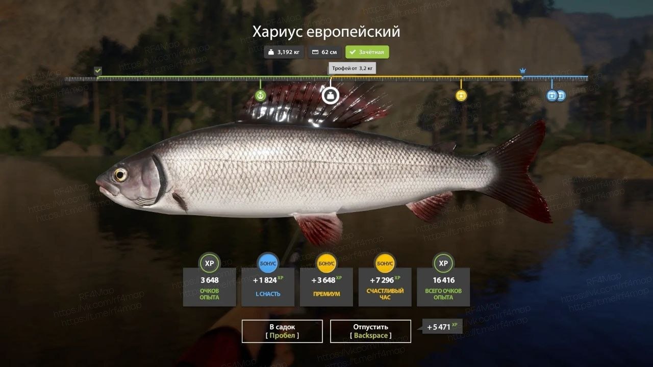 Belaya River — Trophy