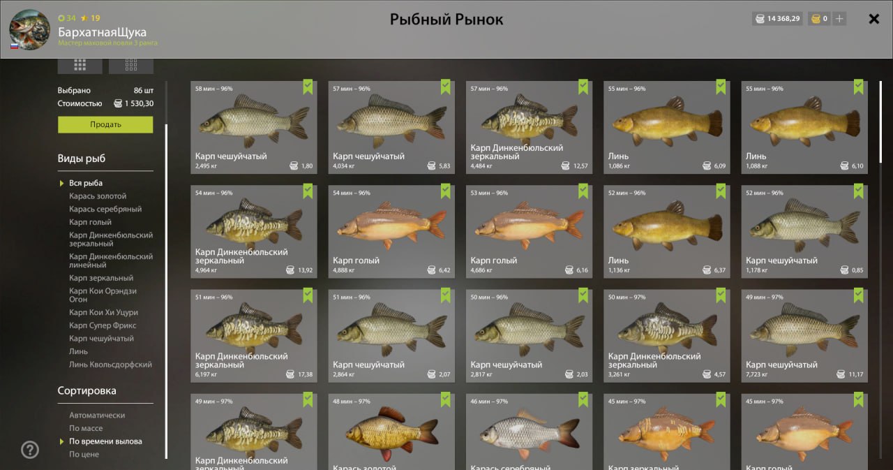 Садок — Озеро Медное