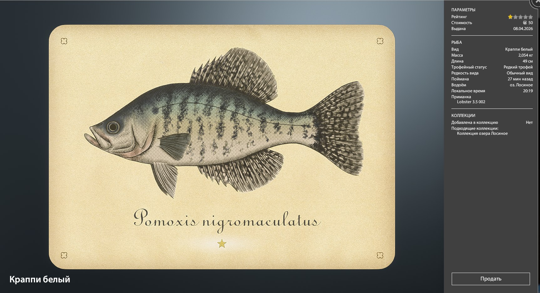 Miscellaneous — Elk Lake