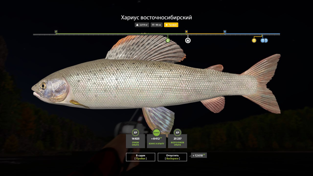 Трофей — Река Нижняя Тунгуска