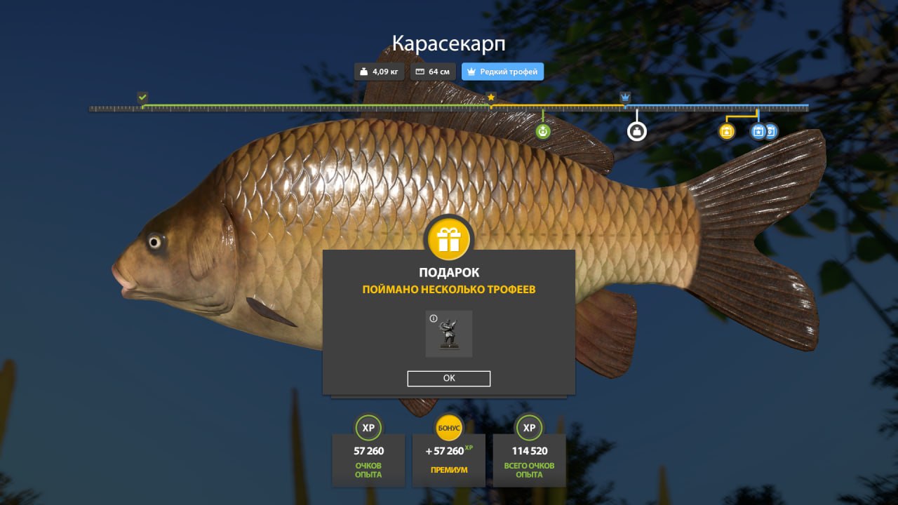 Copper Lake — Trophy