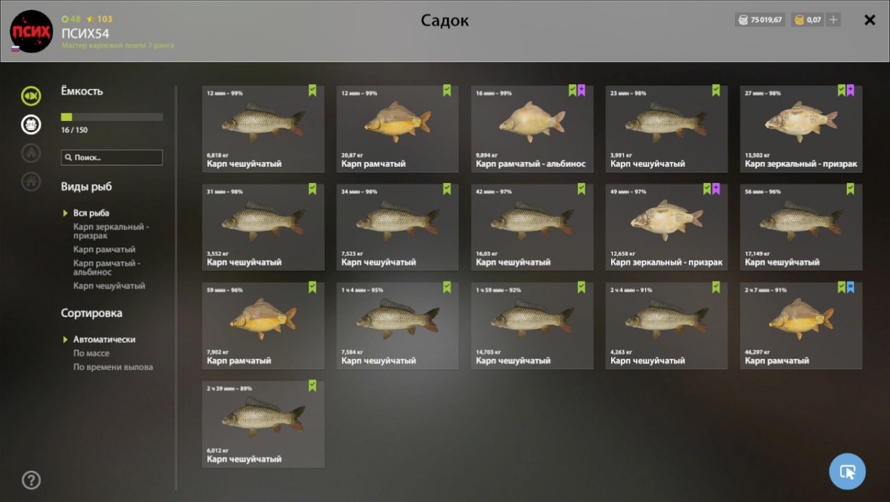 Keepnet — The Amber Lake