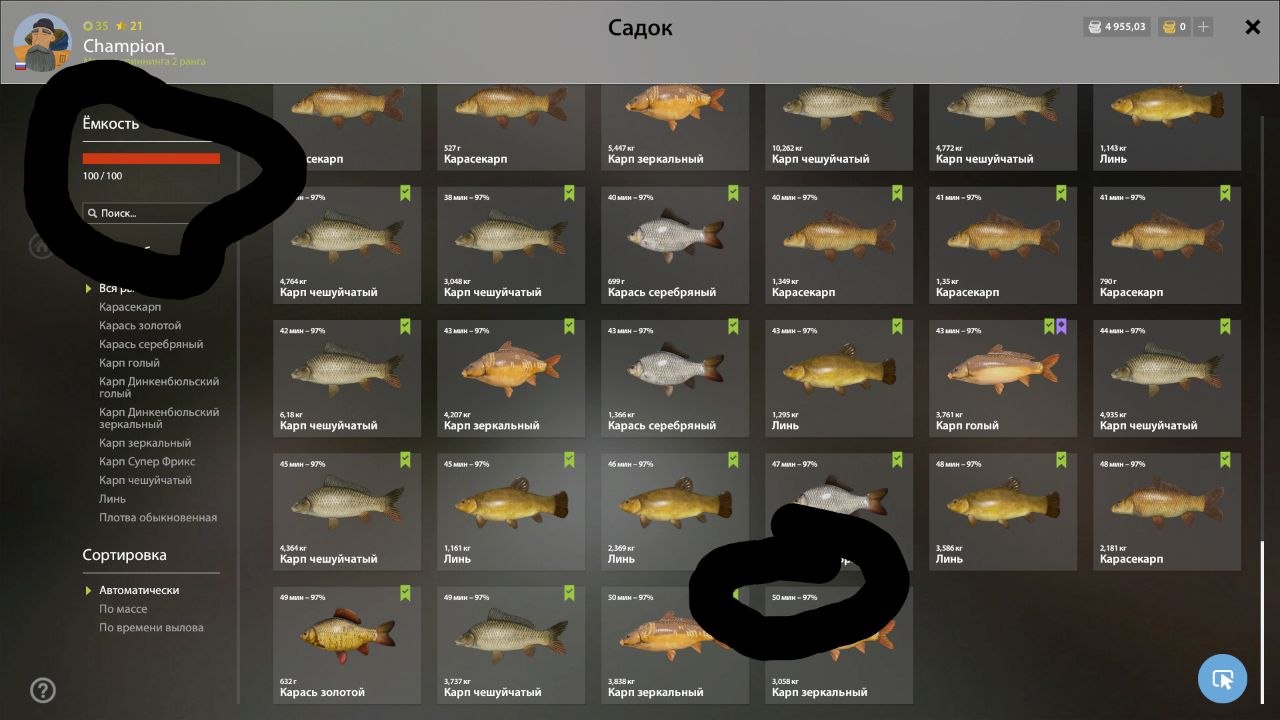 Озеро Медное — Садок