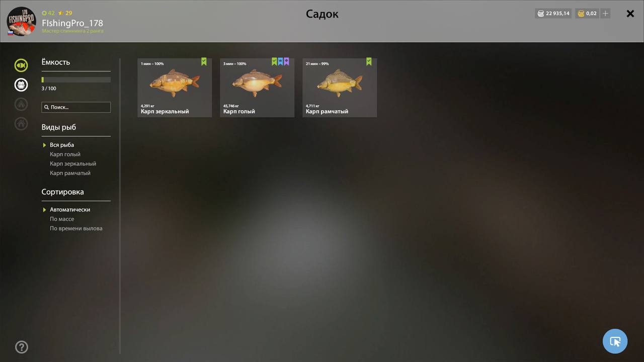 Садок — Озеро Янтарное