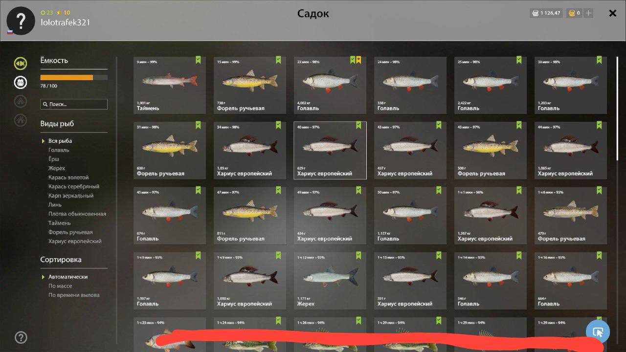 Keepnet — Belaya River