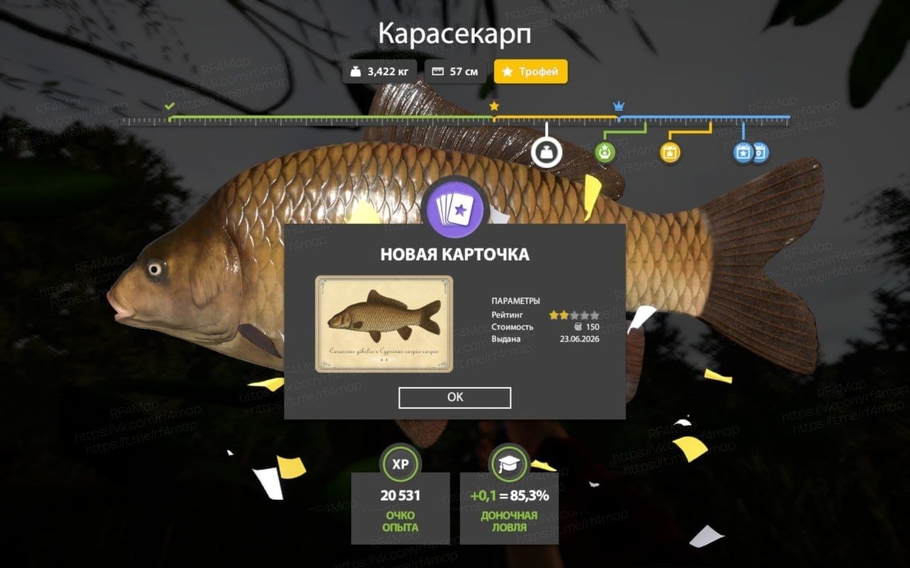 Copper Lake — Trophy