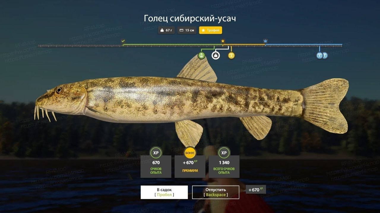 Lower Tunguska River — Trophy