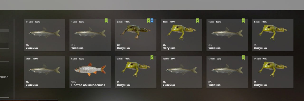 Озеро Комариное — Садок