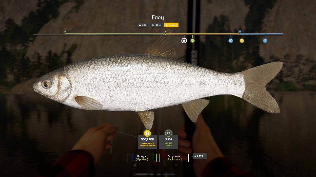 Трофей — Река Белая