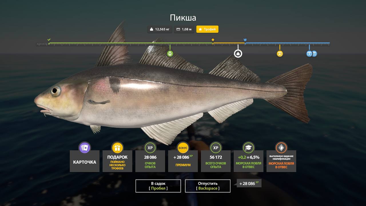 Норвежское море — Трофей