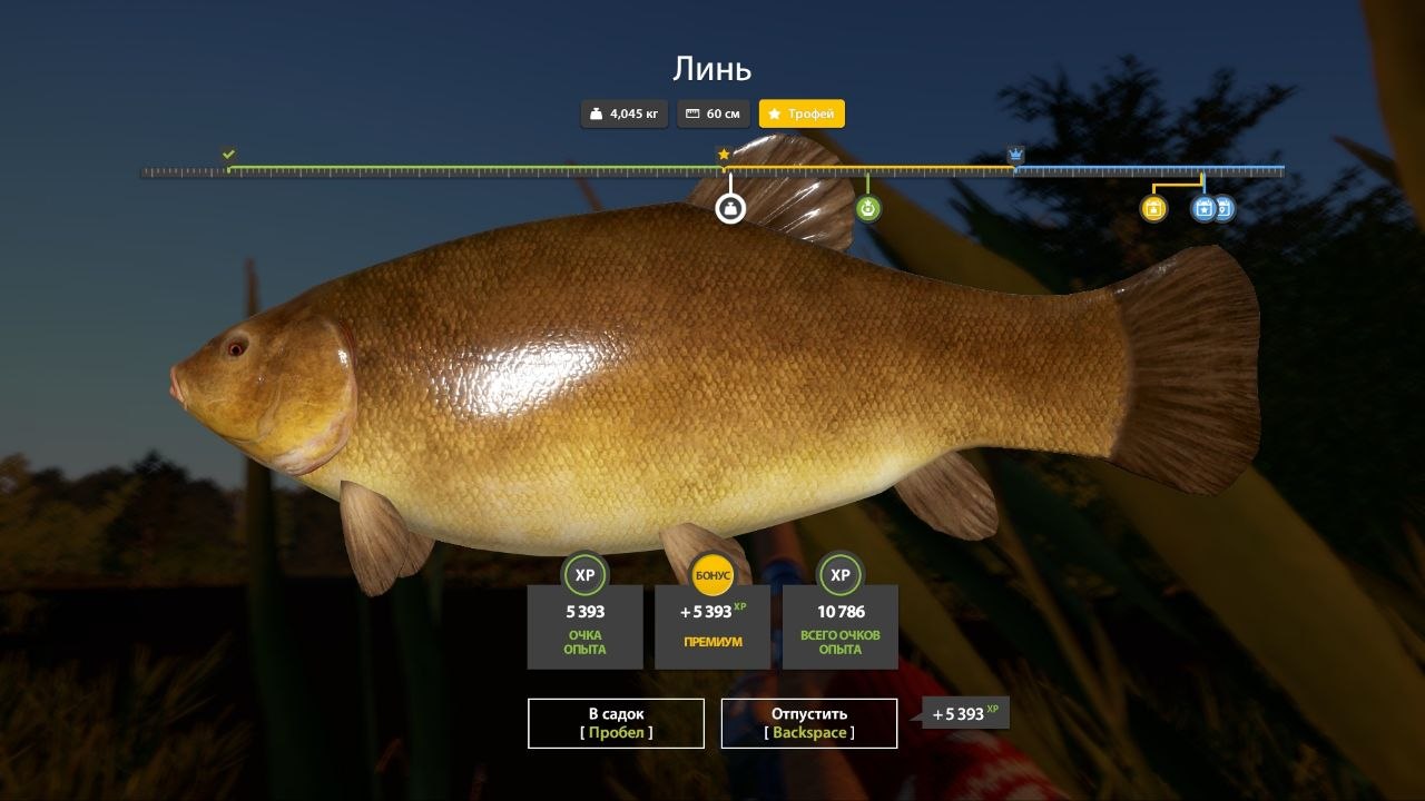 Озеро Медное — Трофей