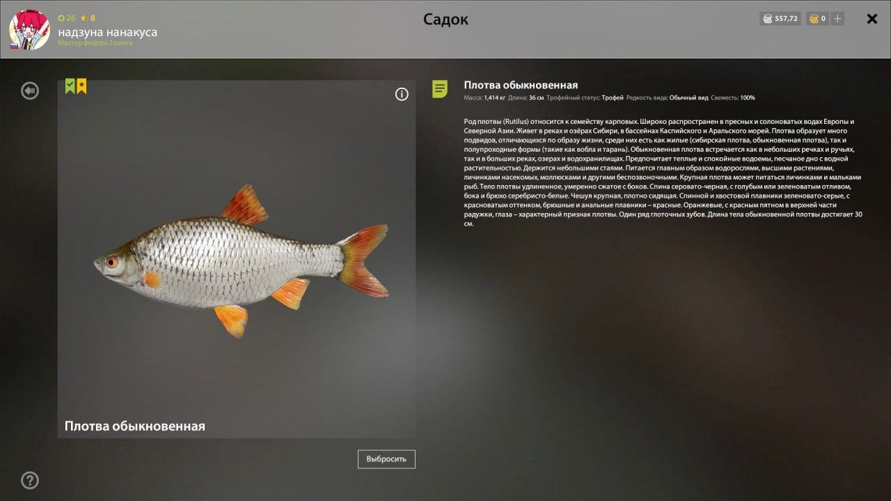 Trophy — Seversky Donets River