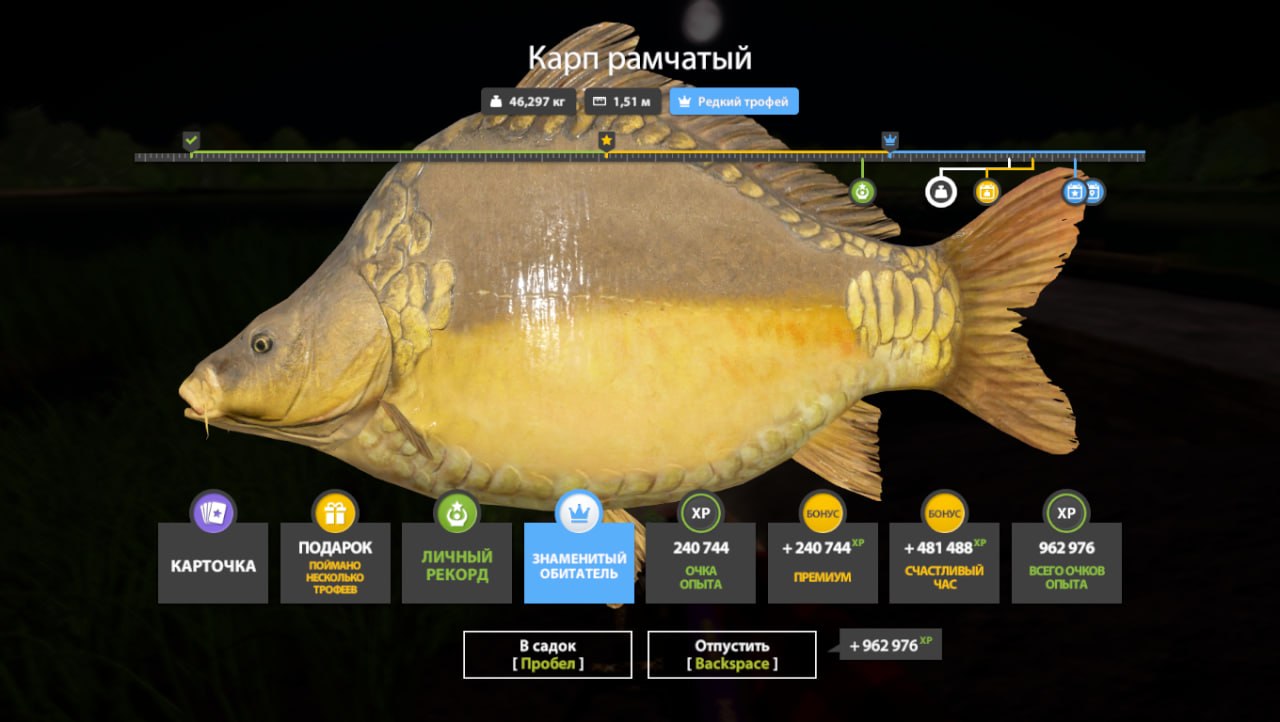 Trophy — The Amber Lake