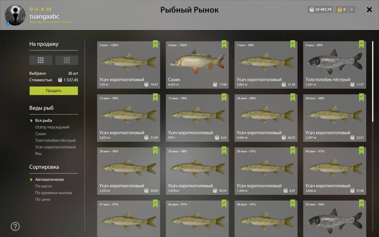 Садок — Река Ахтуба