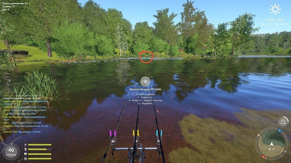 Spot — Copper Lake