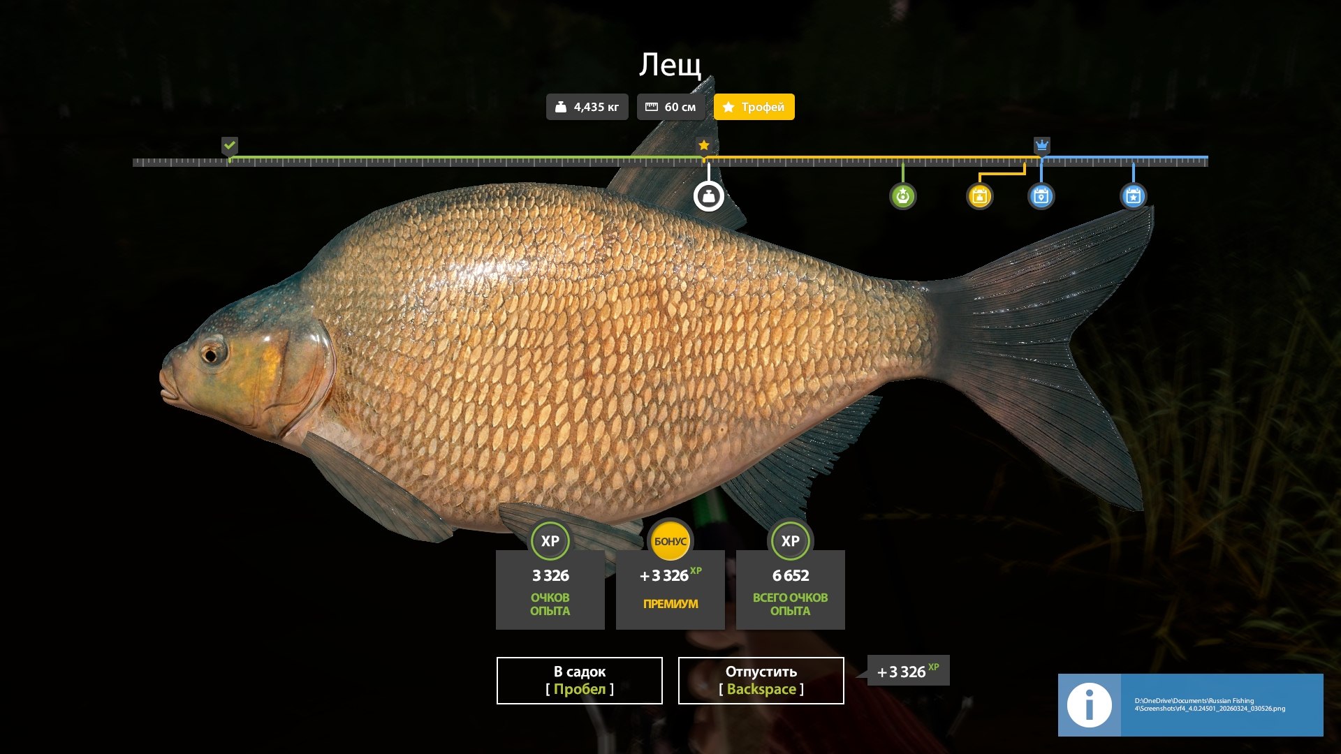 Trophy — Mosquito Lake