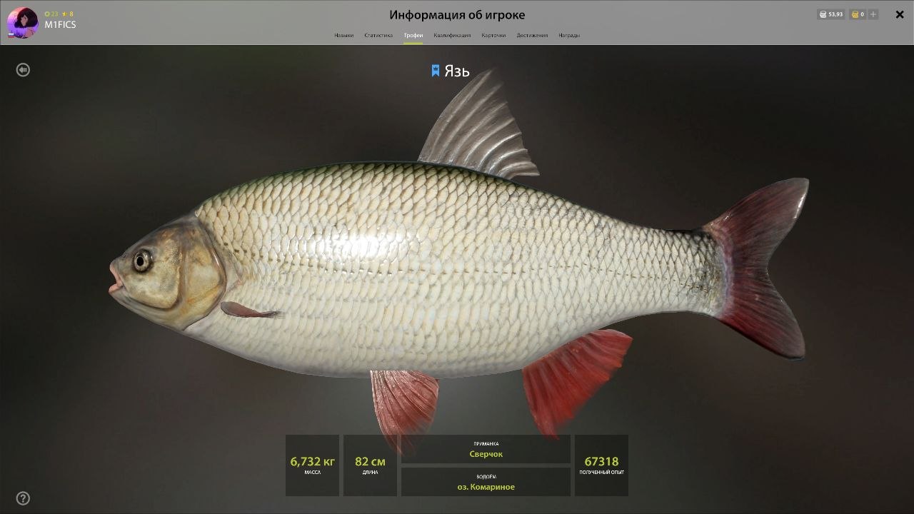 Mosquito Lake — Trophy