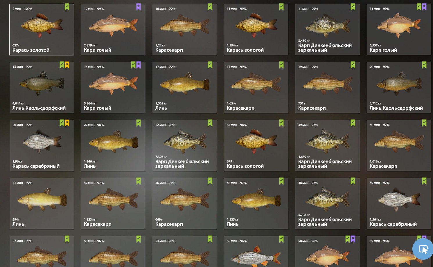 Keepnet — Copper Lake