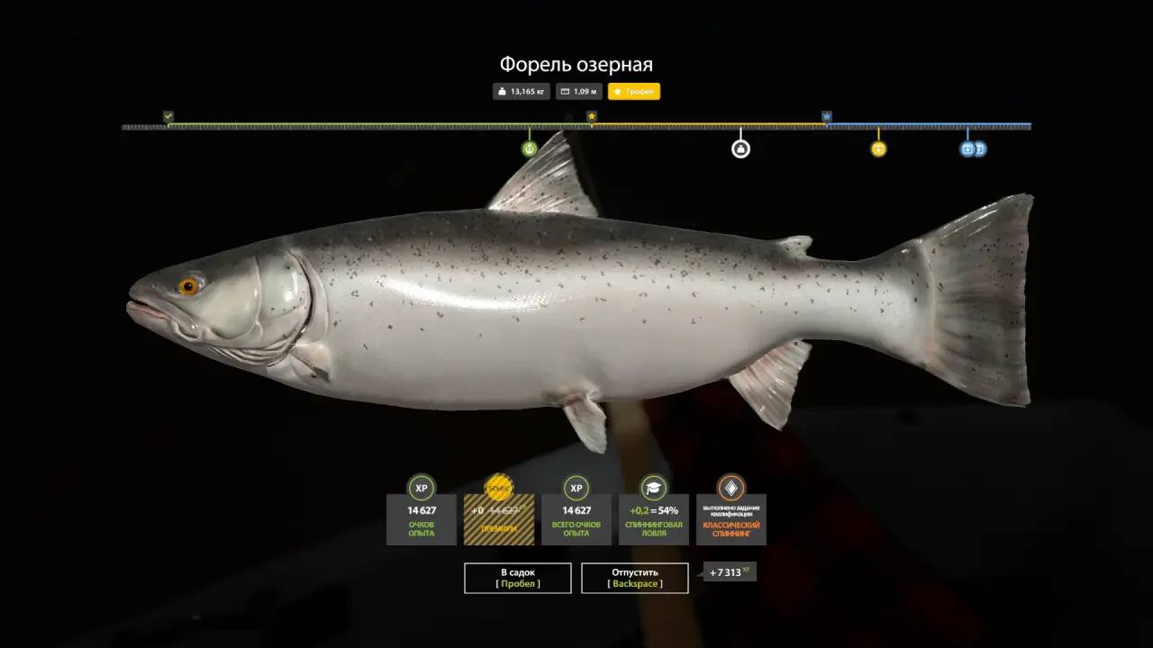 Kuori Lake — Trophy