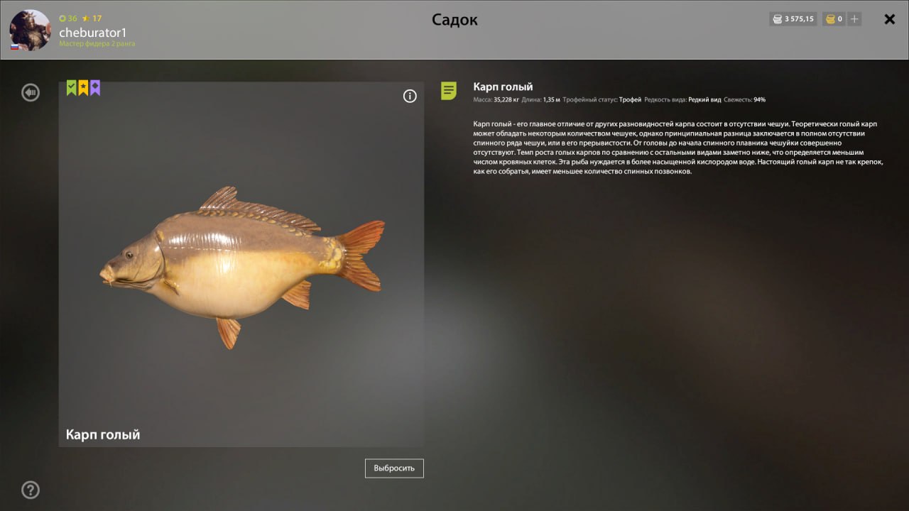 Copper Lake — Trophy