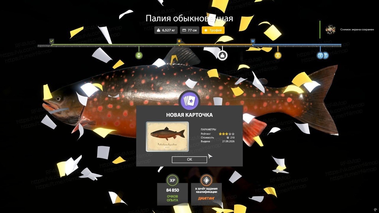 Ладожский архипелаг