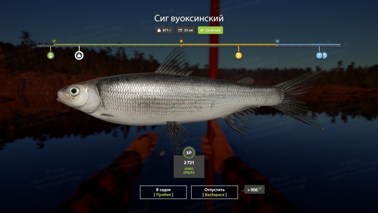 Ладожское озеро