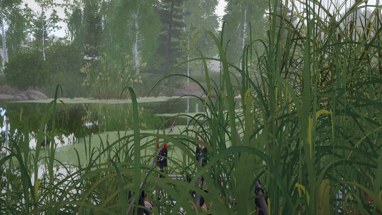 Spot — Old Burg Lake