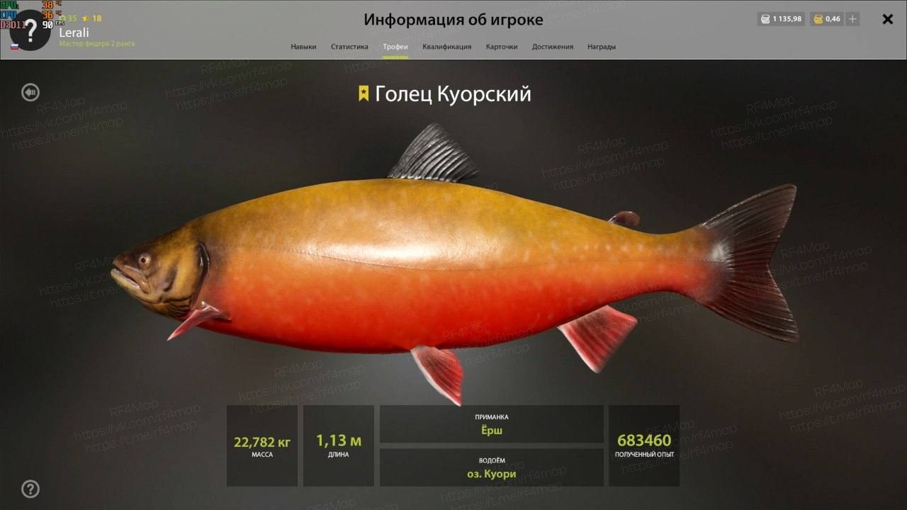 Озеро Куори
