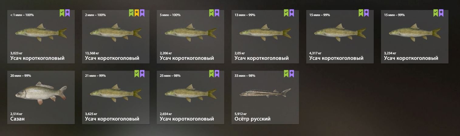 Река Ахтуба