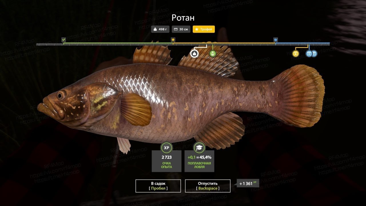 Mosquito Lake — Trophy