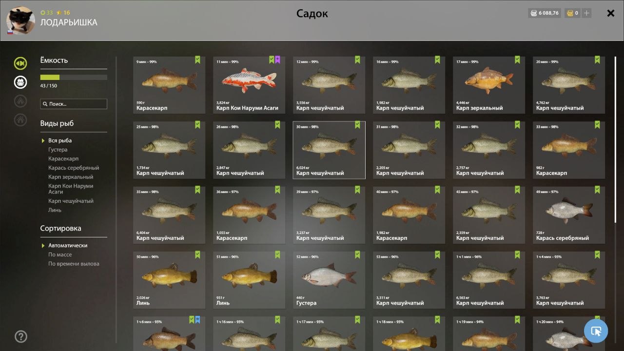 Садок — Озеро Медное