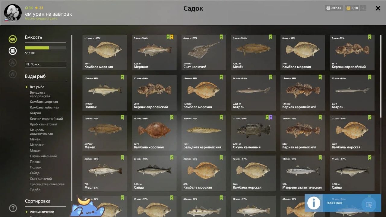 Keepnet — Norwegian Sea