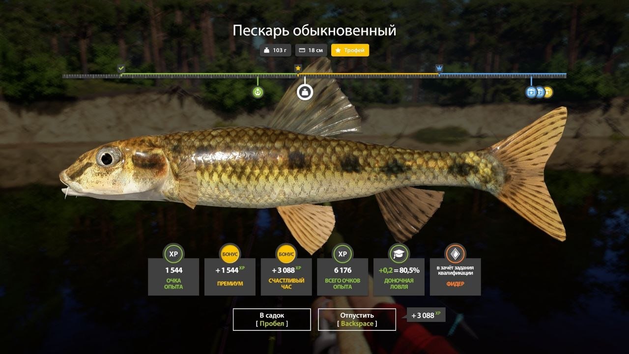 Река Вьюнок — Садок