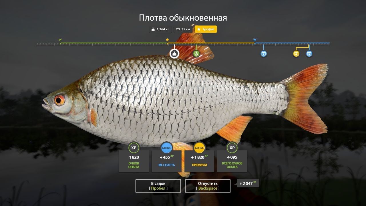 Trophy — Old Burg Lake