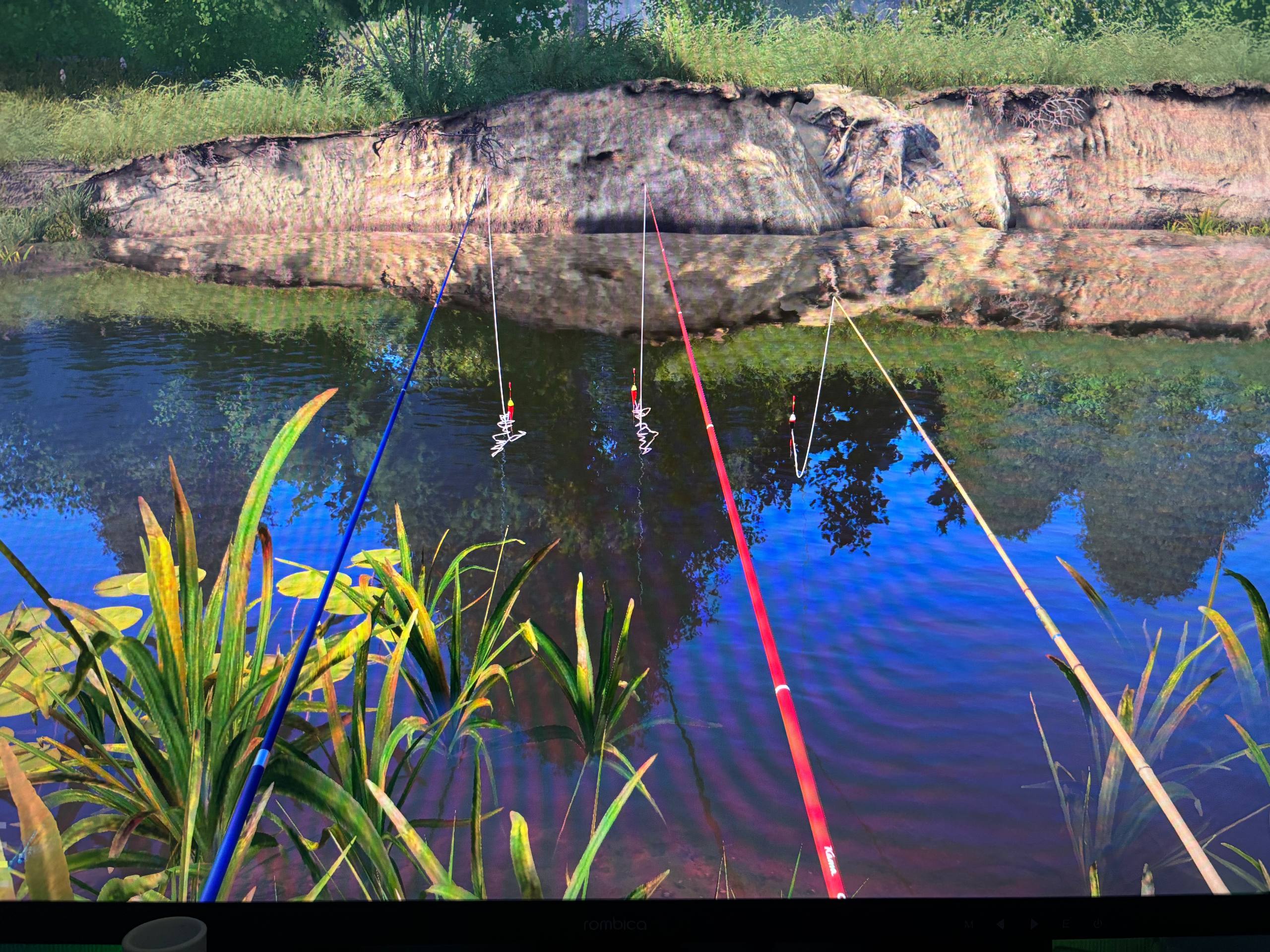 Winding Rivulet — Spot