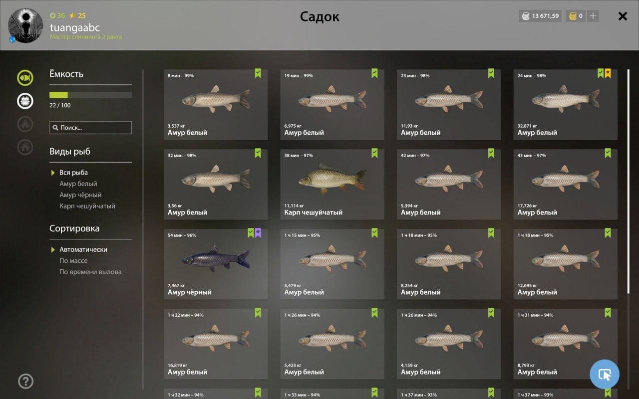 Озеро Старый Острог — Садок