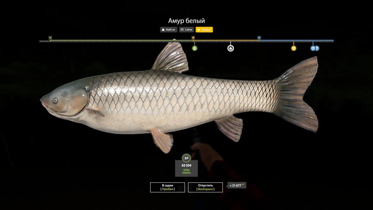 Trophy — Bear Lake