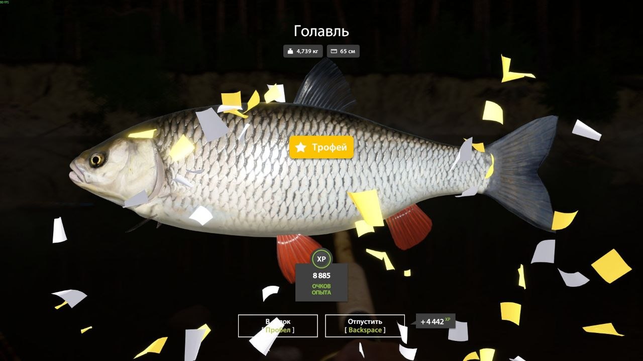 Трофей — Река Вьюнок