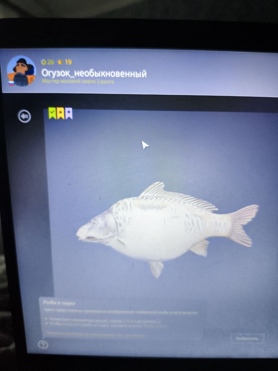 Трофей — Озеро Янтарное