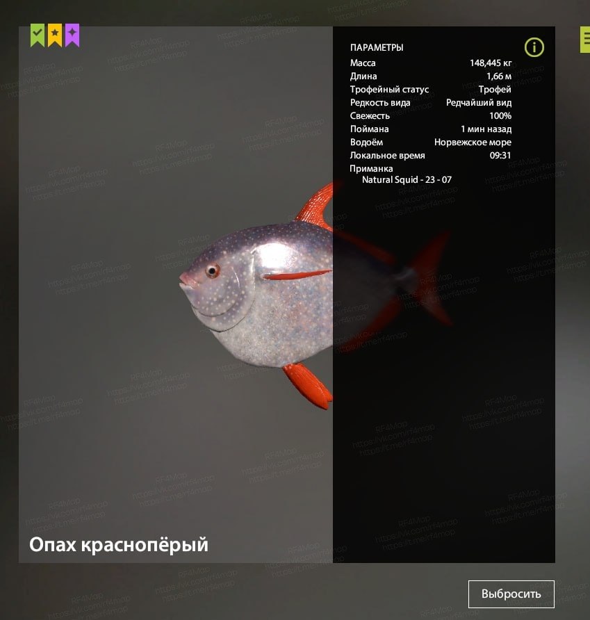 Norwegian Sea — Miscellaneous