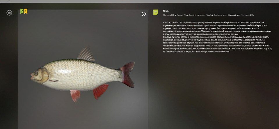 Озеро Комариное — Трофей