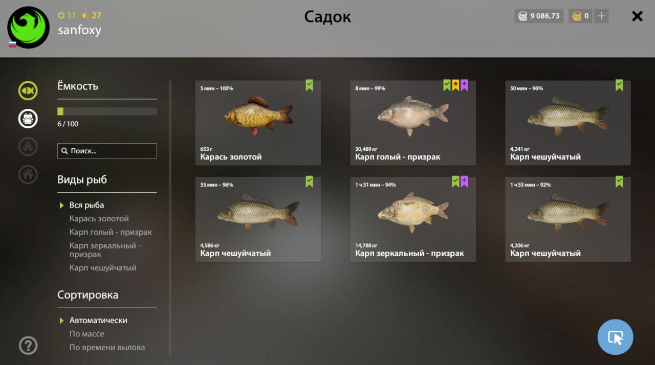 Озеро Янтарное — Садок