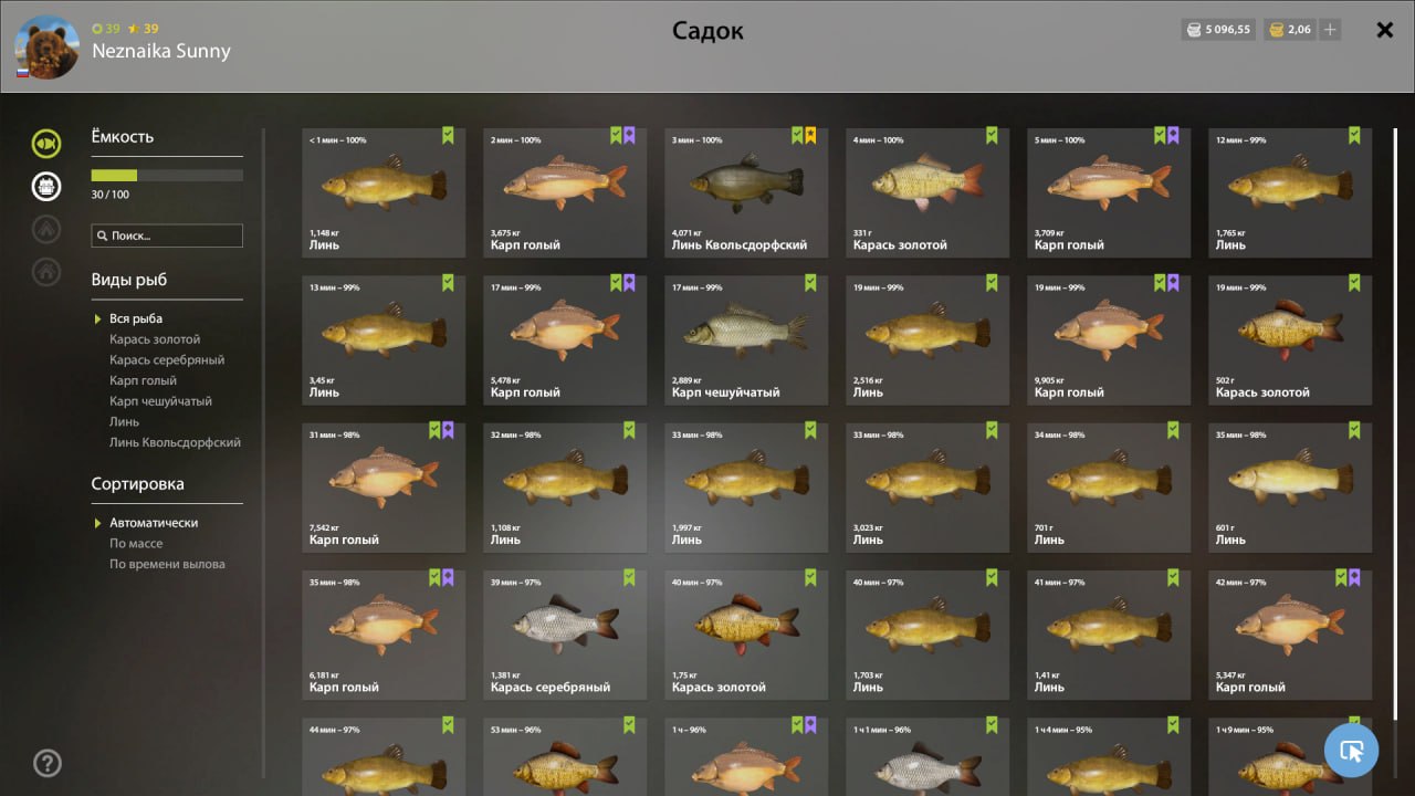 Садок — Озеро Медное