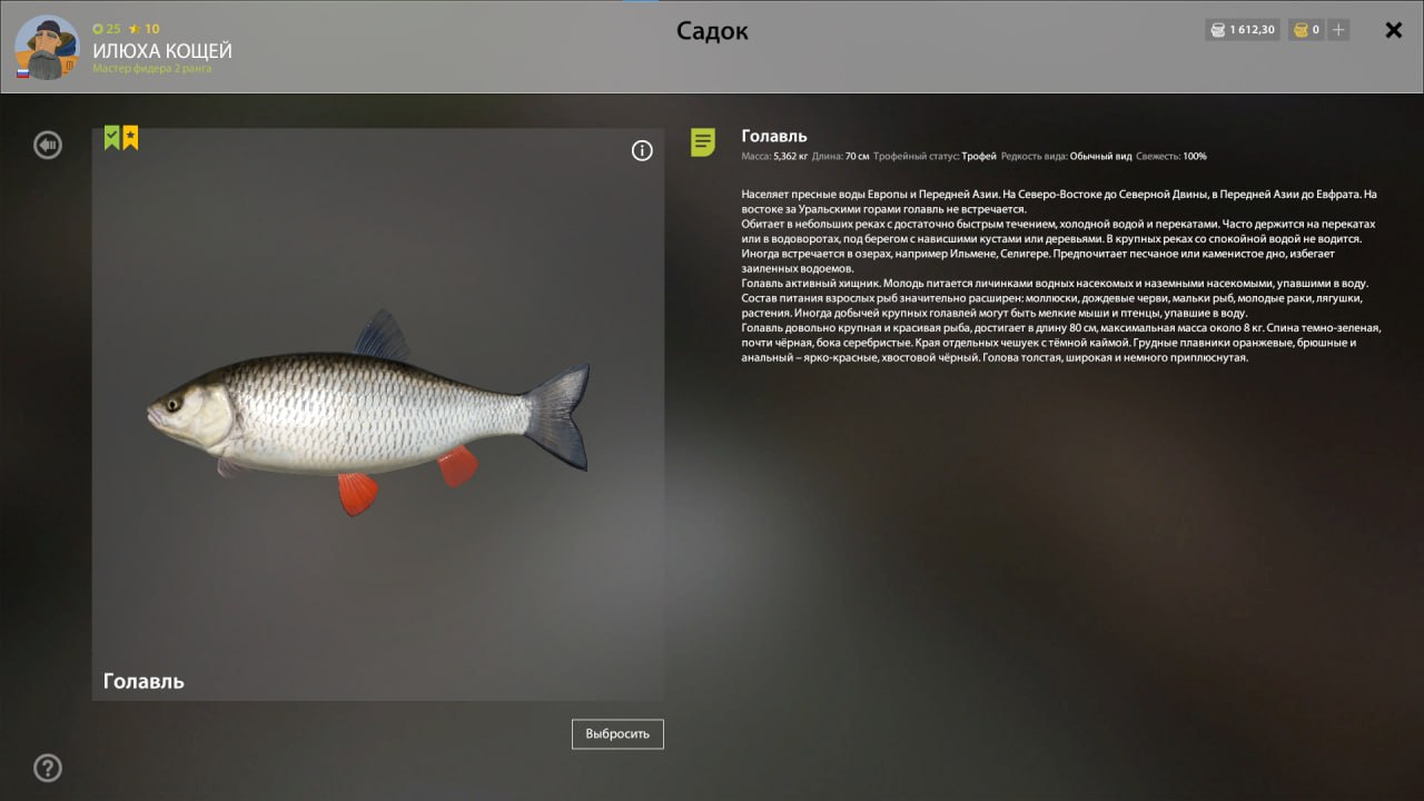 Trophy — Winding Rivulet