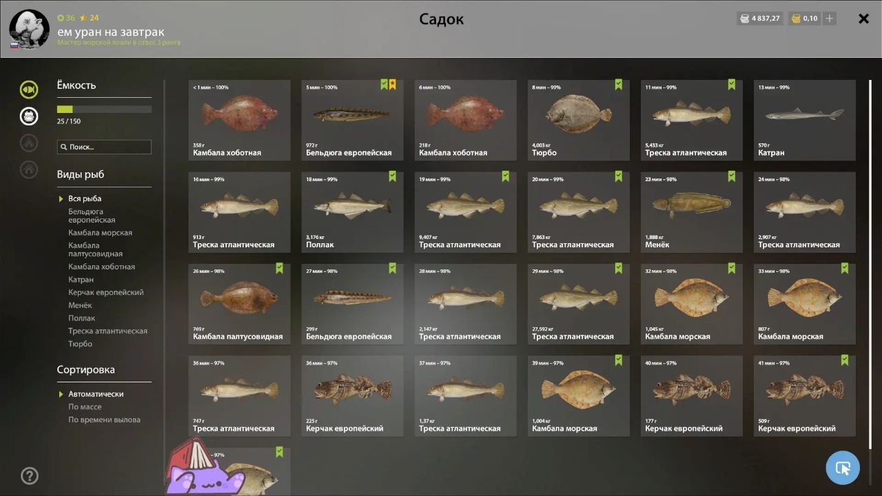 Садок — Норвежское море