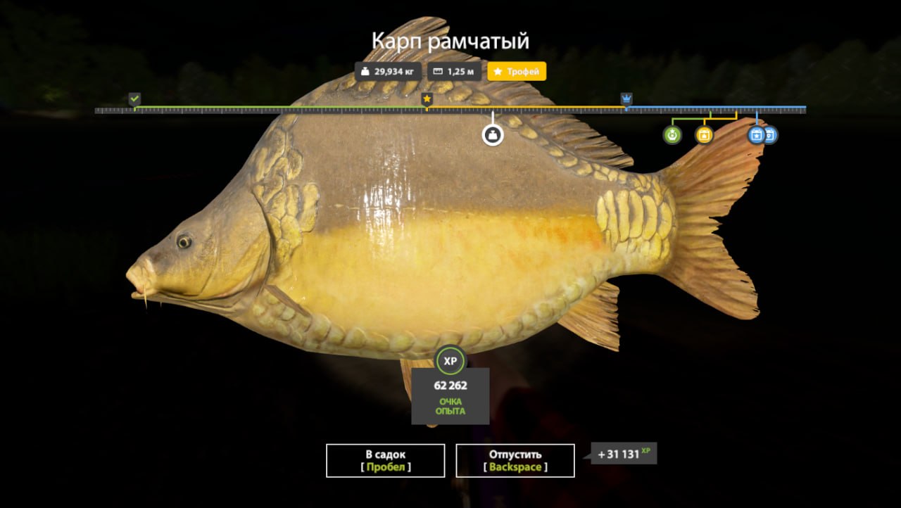 The Amber Lake — Trophy