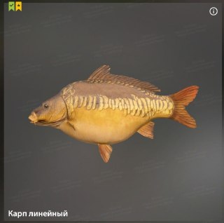 The Amber Lake — Trophy