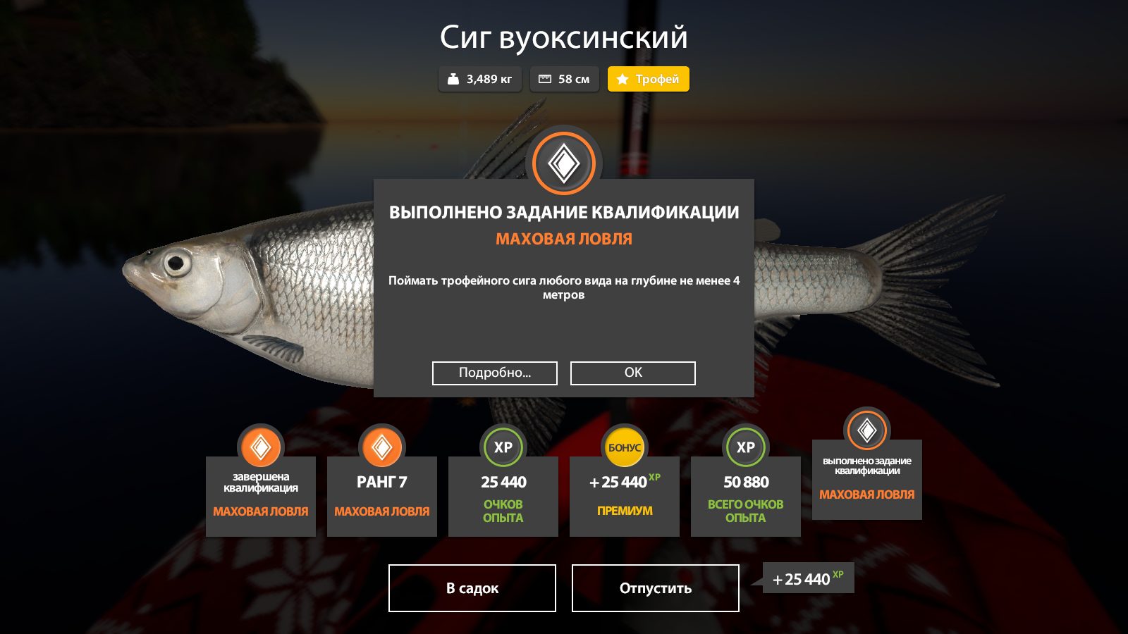 Ладожское озеро